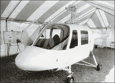 hummingbird_1.jpg