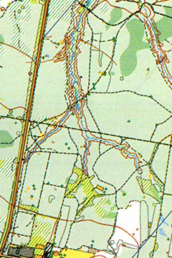 MAP_POLYGON1.jpg