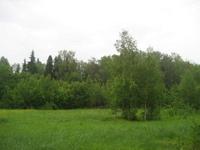 IMG_6031.JPG