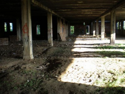 P7110017.JPG
